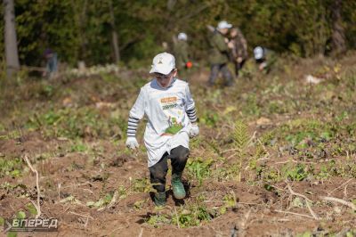 Наш лес 2019_50