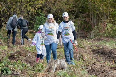 Наш лес 2019_51