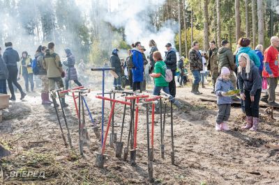 Наш лес 2019_54