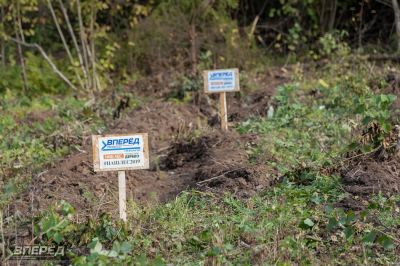 Наш лес 2019_56