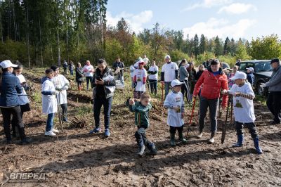 Наш лес 2019_5
