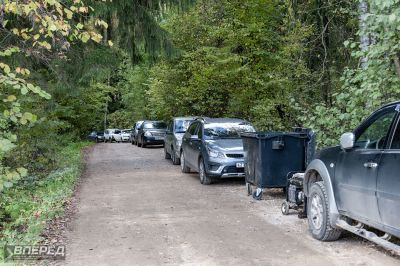 Наш лес 2019_65