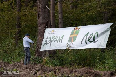 Наш лес 2019_67