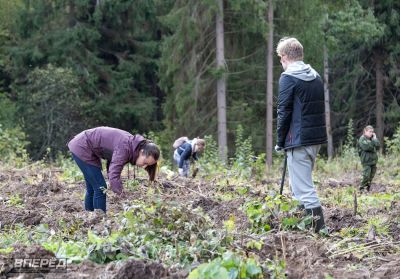 Наш лес 2019_69