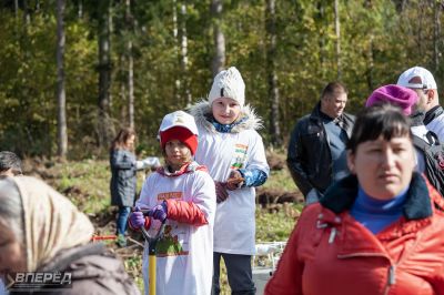 Наш лес 2019_6