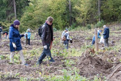 Наш лес 2019_70