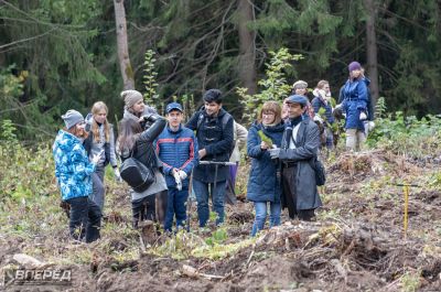 Наш лес 2019_71