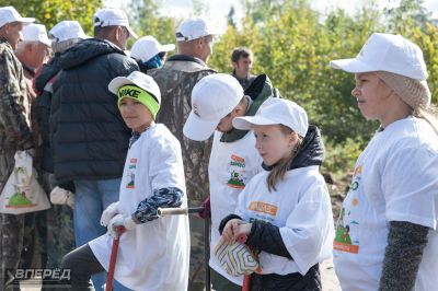 Наш лес 2019_7