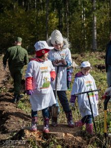 Наш лес 2019_8