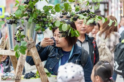 День с вареньем_20