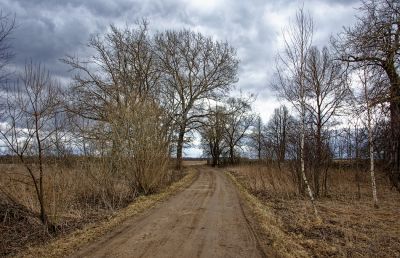 Репортаж из деревни Кучки_21