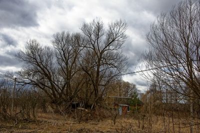 Репортаж из деревни Кучки_25