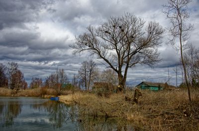 Репортаж из деревни Кучки_28