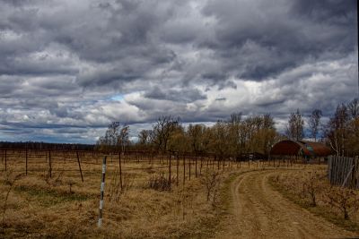 Репортаж из деревни Кучки_35