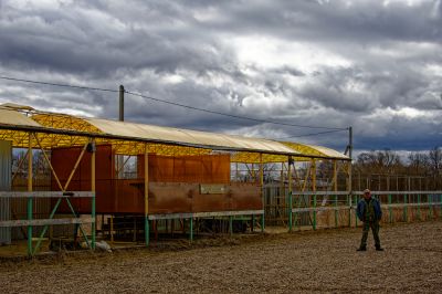 Репортаж из деревни Кучки_38