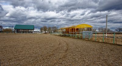 Репортаж из деревни Кучки_41