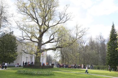  День музейной ночи в Абрамцеве_49