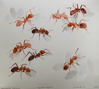 Два мира на одной выставке: Игорь Олейников и квартет анималистов_16