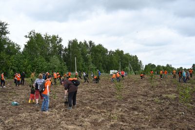 Акция «RUS.Поле» прошла 9 июня на Семхозском поле_23