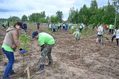 Акция «RUS.Поле» прошла 9 июня на Семхозском поле_28