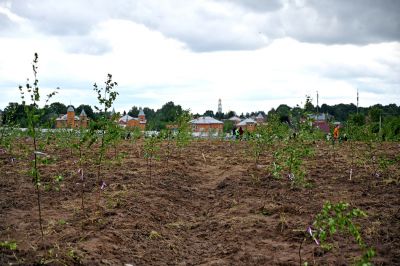 Акция «RUS.Поле» прошла 9 июня на Семхозском поле_30